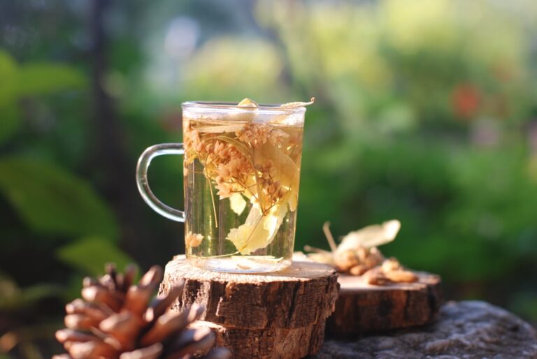 Photo herbal health teas